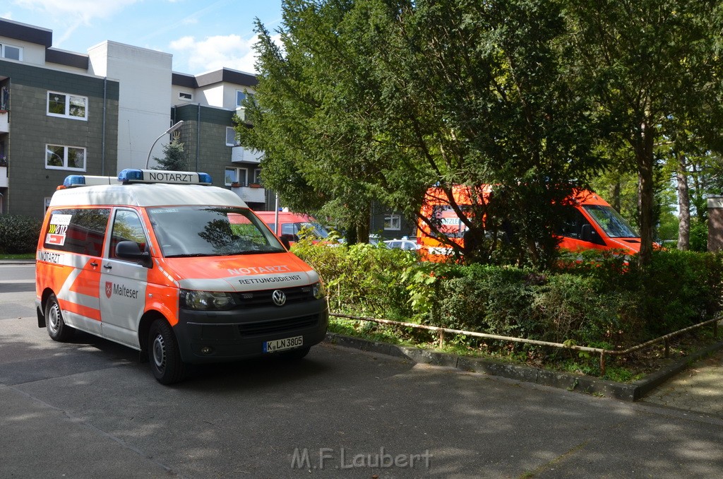 Geruch in Schule Koeln Brueck Helene Weber Platz P12.JPG - Miklos Laubert